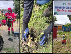 Veolia participó con gran éxito en la jornada de recuperación del Corredor Verde