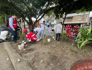Veolia transforma el separador vial en Manuela Beltrán