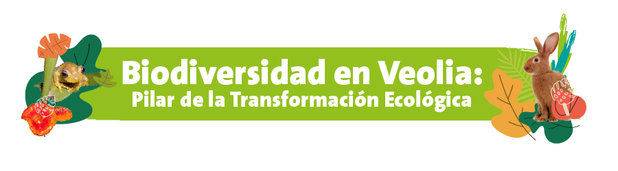 Biodiversidad en Veolia Pilar de la Transformación Ecológica