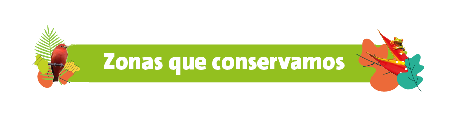Zonas que conservamos