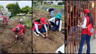 Veolia se sumó a la recuperación de la Autopista Sur Oriental, impulsada por la Alcaldía de Cali